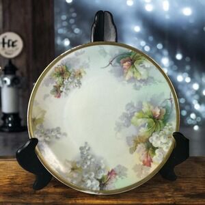 Antique Imperial Austria Bohemia PSL Empire Hand Painted Plate Grapes 9"